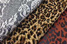 LEOPOARD AND SNAKE PRINTS